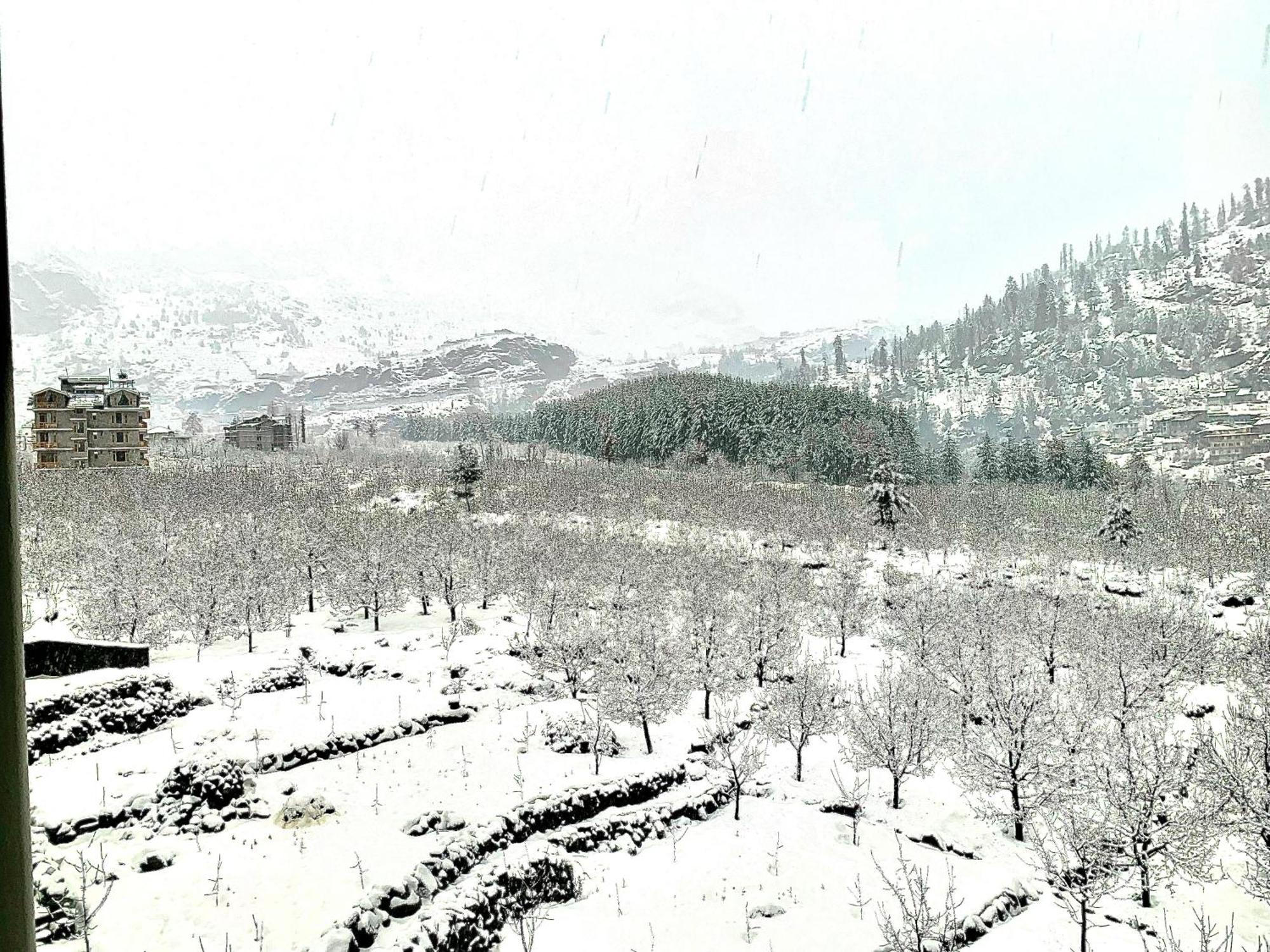 La Aero Resort Home In Snow Mountains Manāli エクステリア 写真